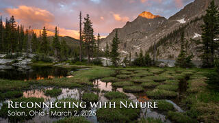 Reconnecting with the Natural World