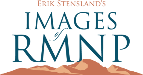 Erik’s Main Websites
