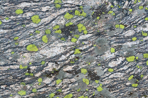 Spots and Stone