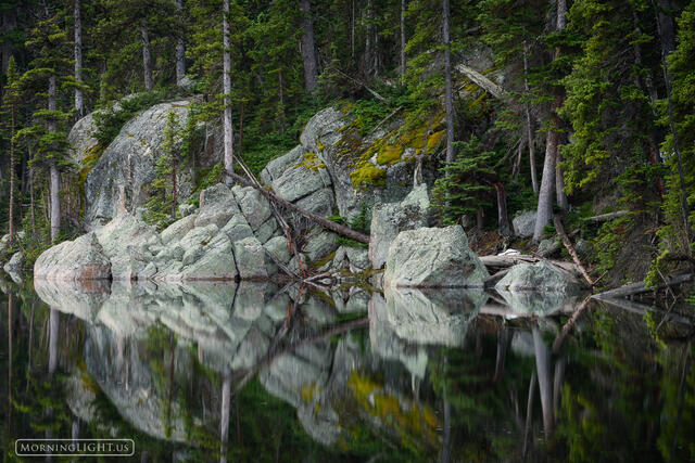 Peaceful Reflections