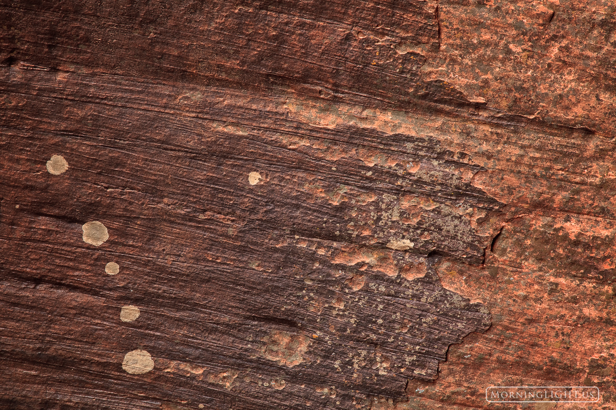 A Spot of Art Deep in a canyon in the southwest I spent a delightful afternoon celebrating all of the beautiful shapes that lined the walls...