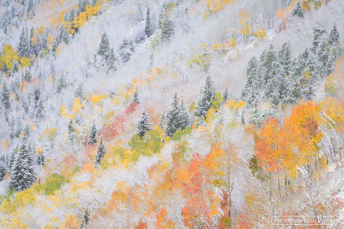 Autumn Pastels Near the end of the autumn a snowstorm moved in coating the forest in a blanket of white. As I climbed the Bierstadt Moraine...