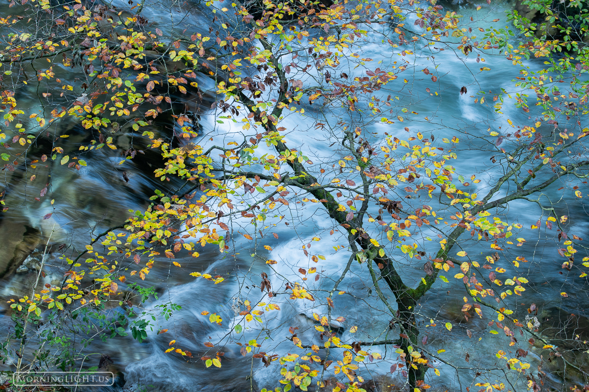 Autumn leaves and blue water of Vintgar Gorge in Slovenia create a treat for the eyes. Prints are available at this link.