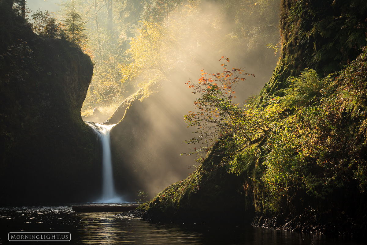 Morning Joy An idyllic scene in the Columbia River Gorge as mist rises over a beautiful waterfall just after the start of this new day. One...