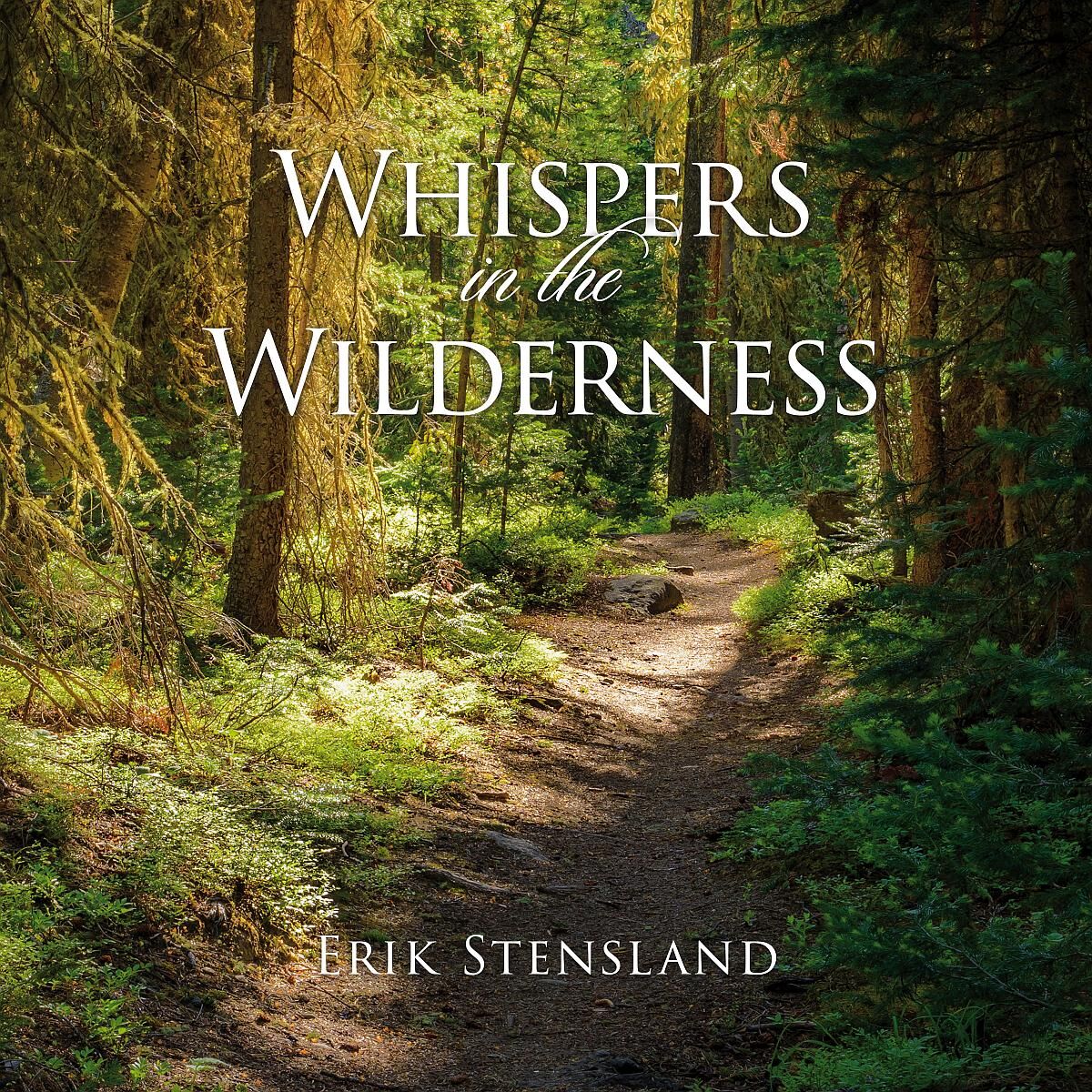 Cover of Audio Book
